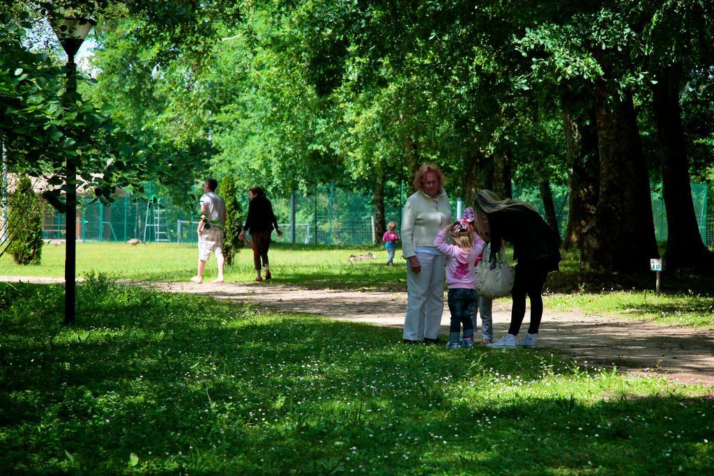 Отель Domaine Du Roi Kysmar Виландро Экстерьер фото